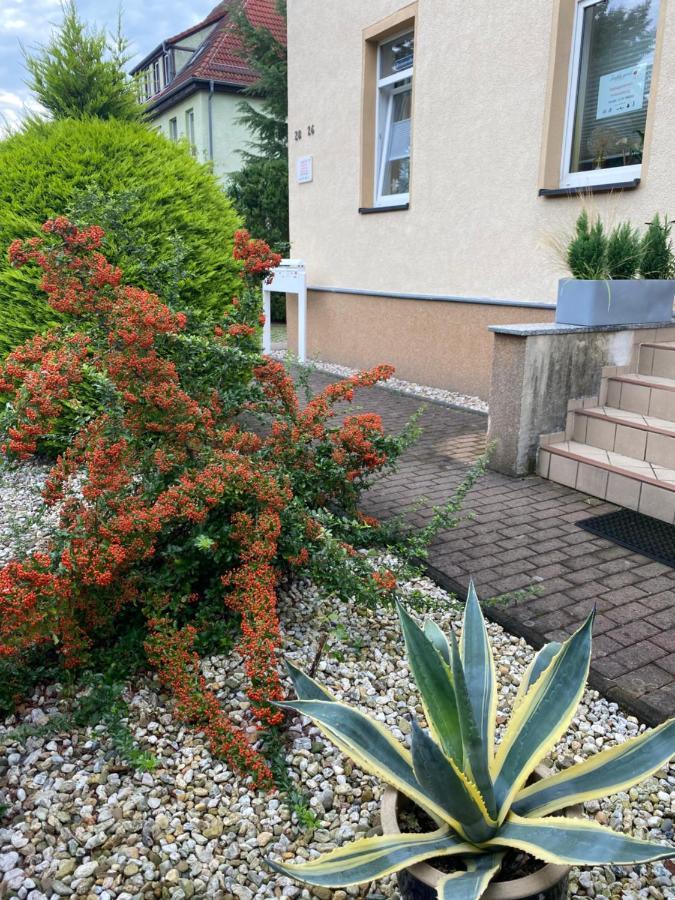 Simply Good Apartment Borna